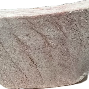 Alternative view of FreezyPaws Superpremium Human Grade Freeze-Dried Tuna Steak Raw Treats 1pc